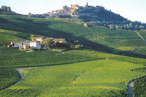 Cascina Rocca - Guest House กัสติยิโอเน ฟัลเลตโต ภายนอก รูปภาพ